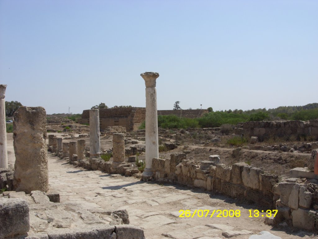 sn850243.jpg