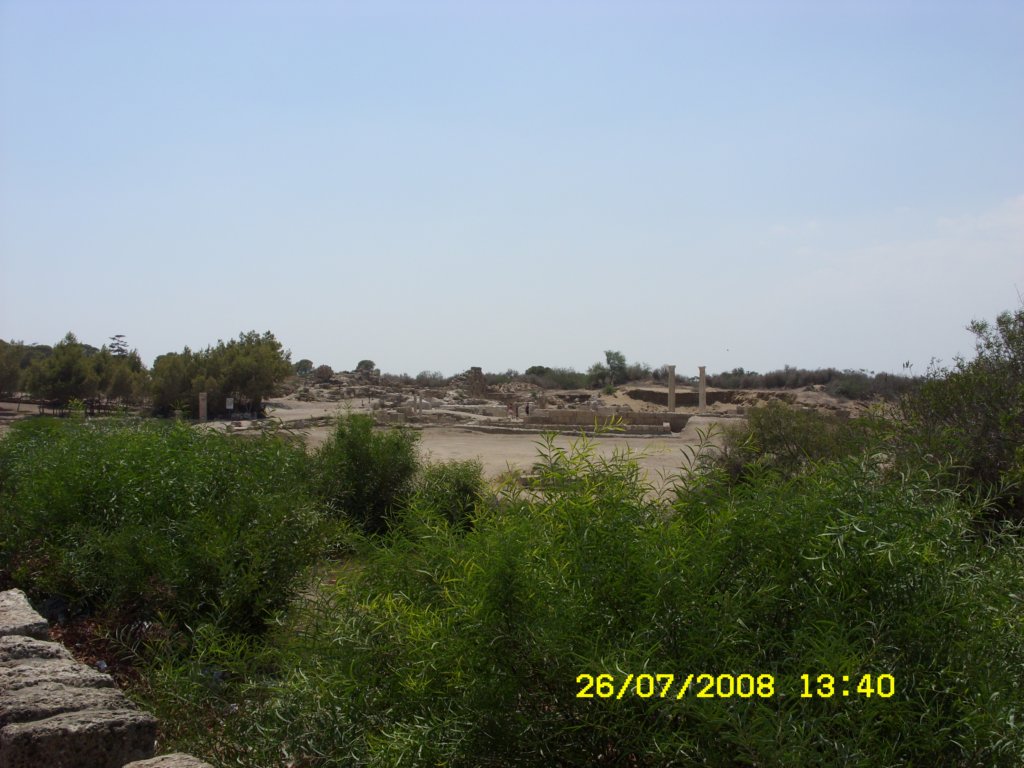 sn850248.jpg