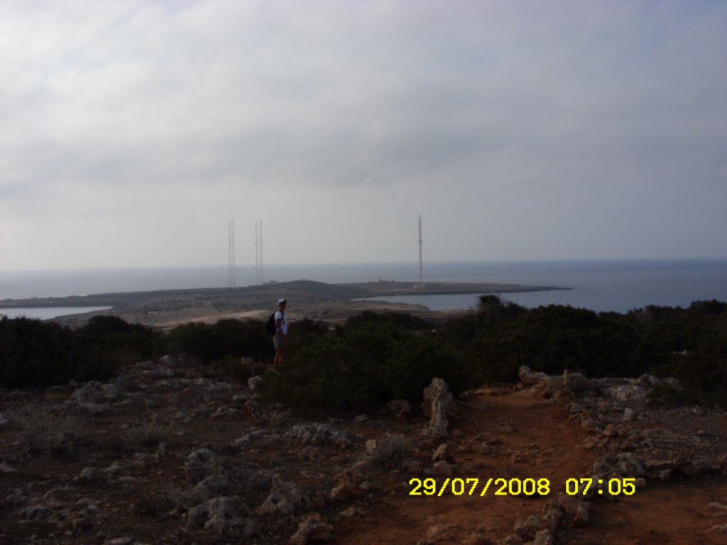 sn850310.jpg
