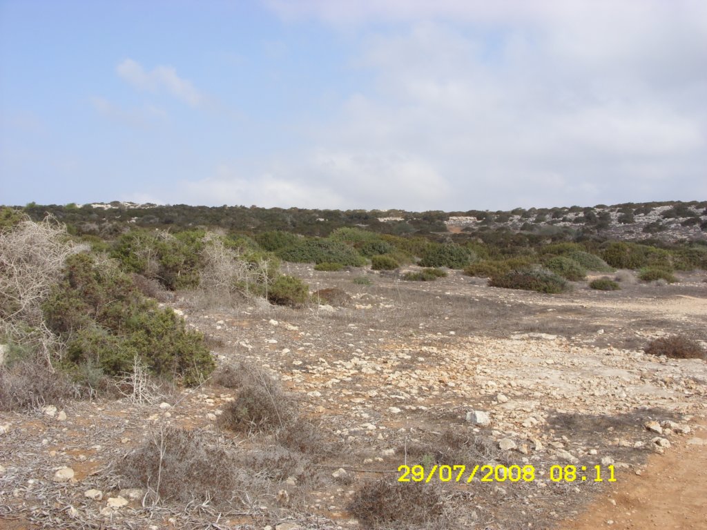 sn850323.jpg