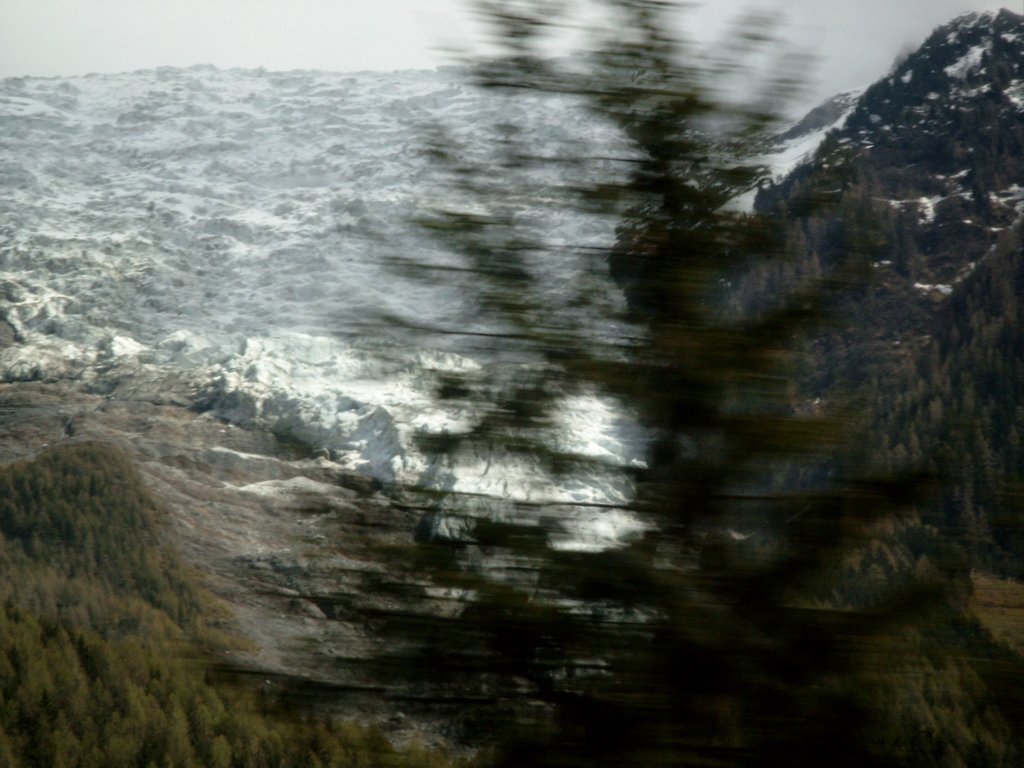 simg1212.jpg