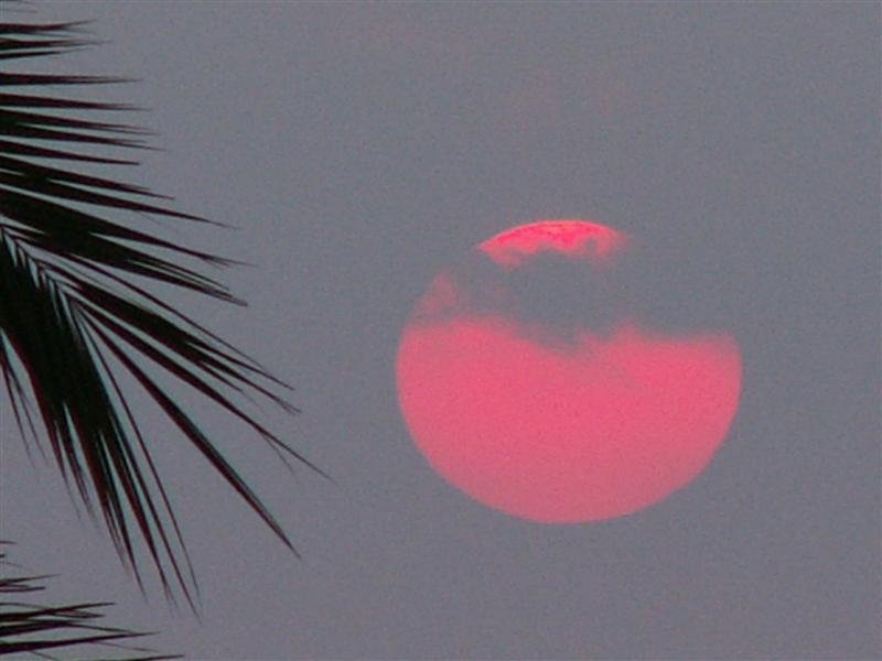 pict0055.jpg