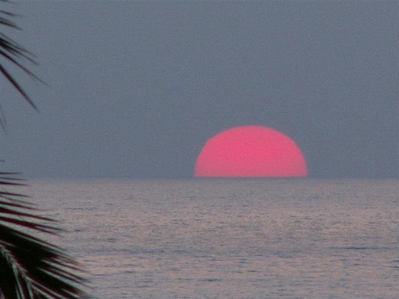 pict0059.jpg