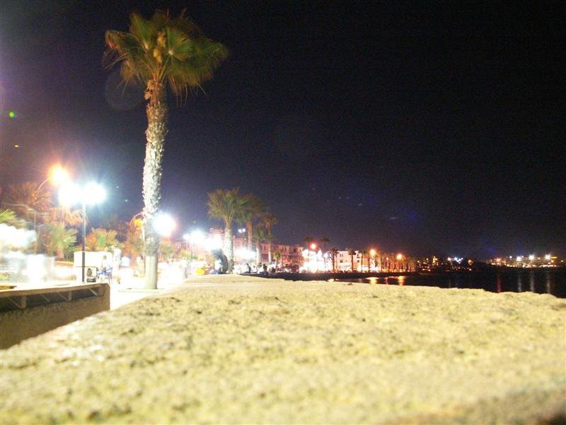 pict0088.jpg