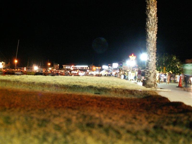 pict0089.jpg