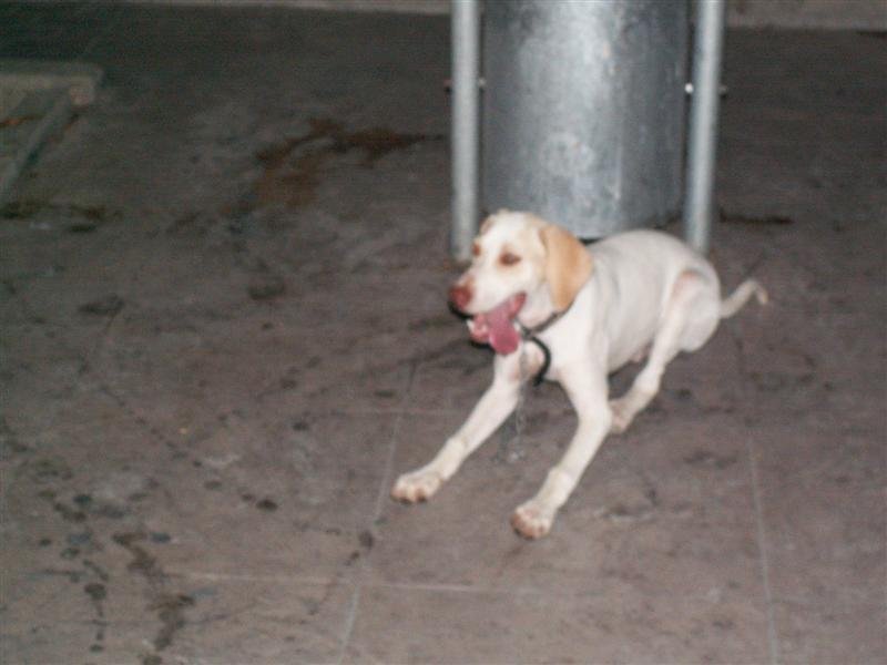 pict0093.jpg
