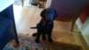 photo10_small.jpg