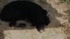 photo127_small.jpg