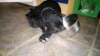 photo128_small.jpg