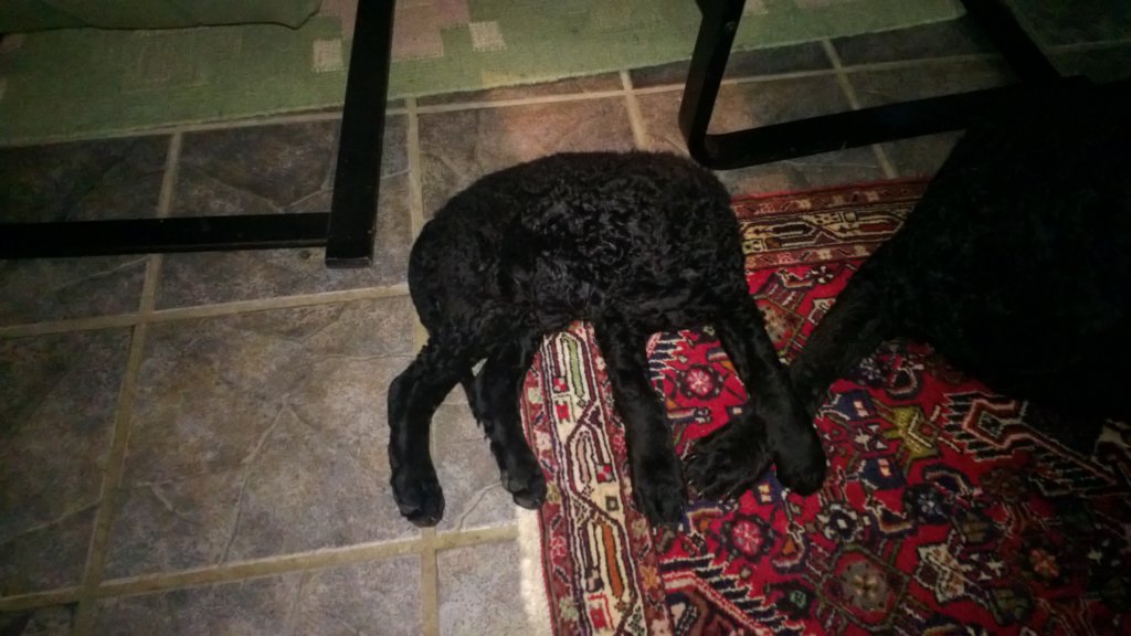 photo15.jpg