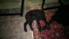 photo15_small.jpg