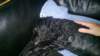 photo16_small.jpg