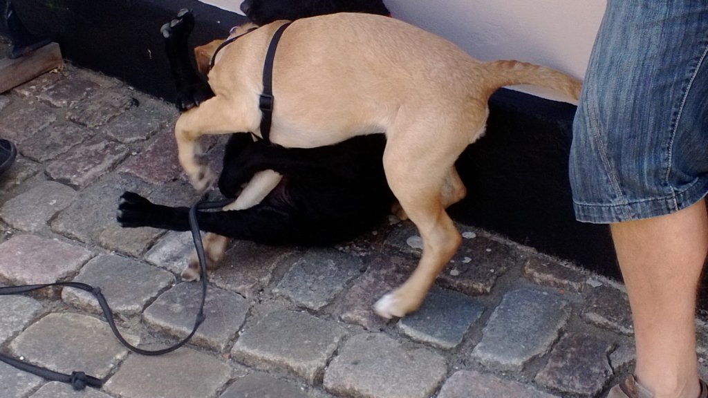 photo23.jpg