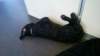 photo29_small.jpg
