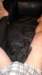 photo30_small.jpg