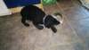 photo31_small.jpg