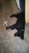 photo32_small.jpg