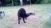 photo34_small.jpg