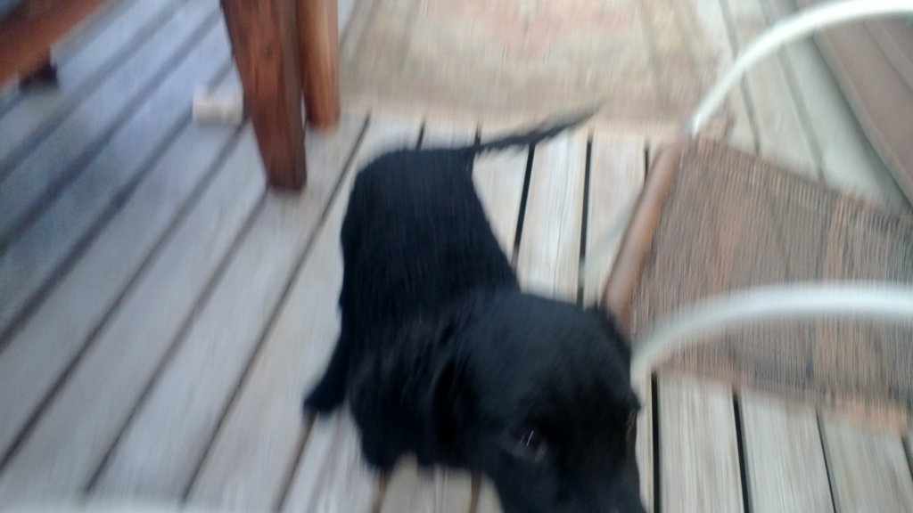 photo38.jpg