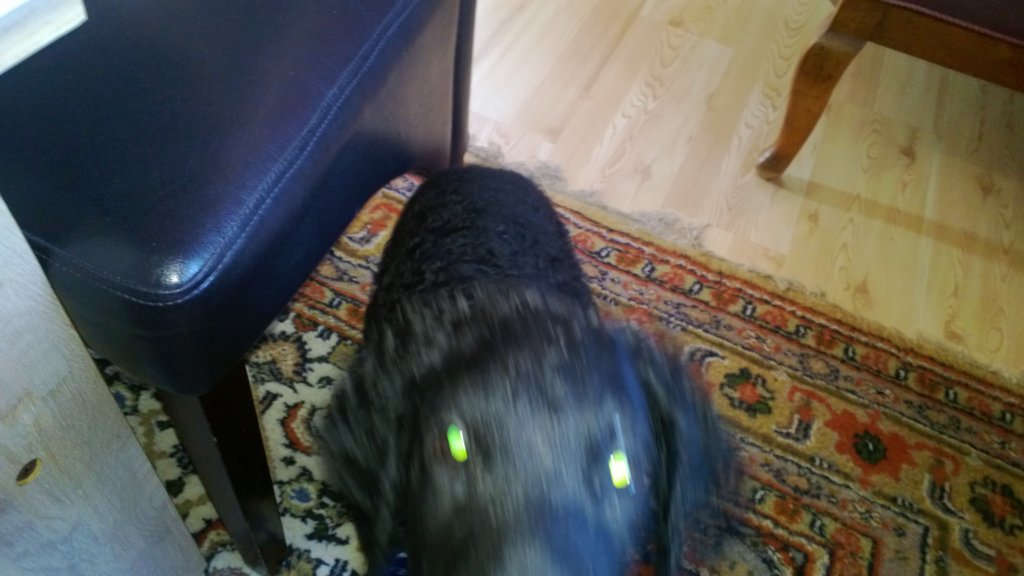 photo67.jpg
