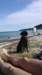 photo6_small.jpg