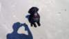 photo71_small.jpg