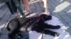 photo9_small.jpg