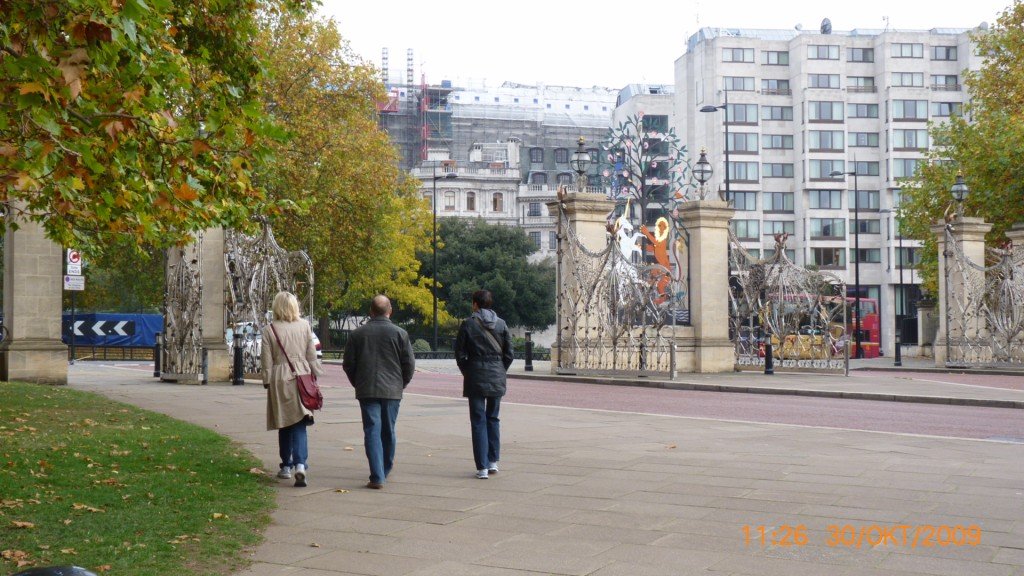 photo120.jpg