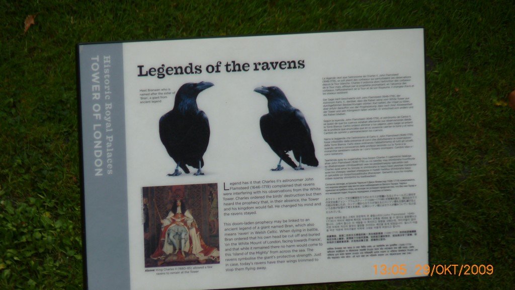 photo59.jpg