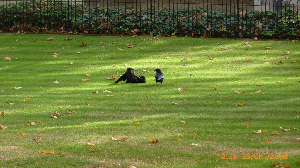 photo63.jpg