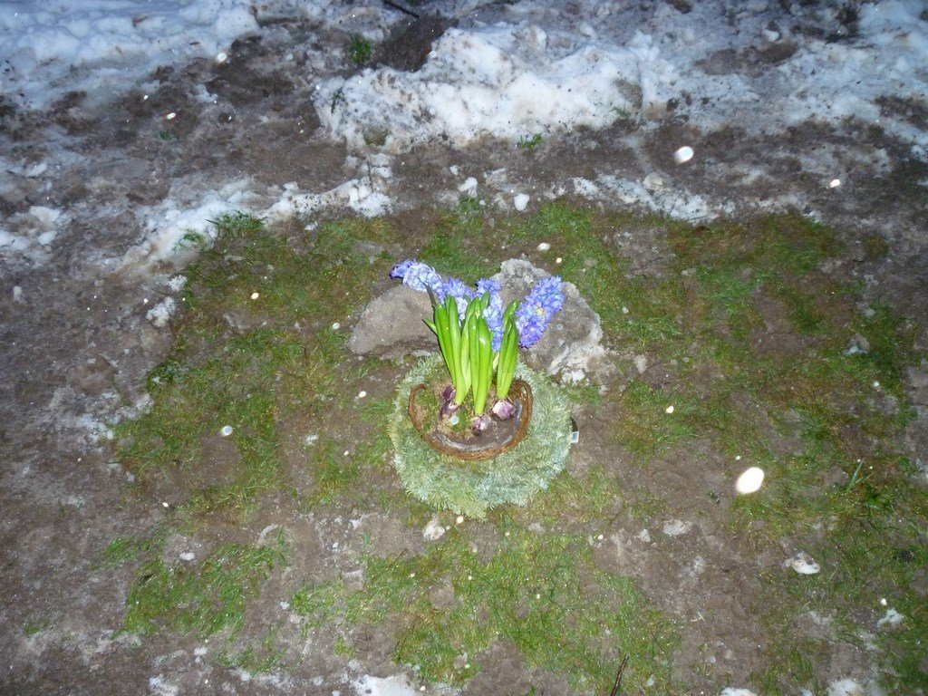photo105.jpg