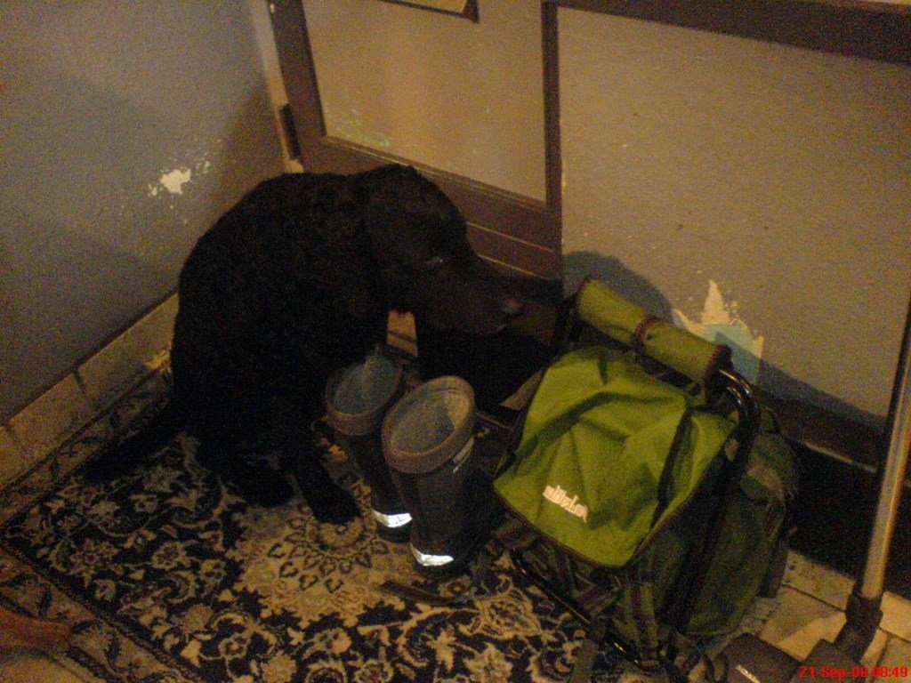 photo11.jpg