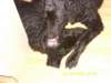 photo13_small.jpg