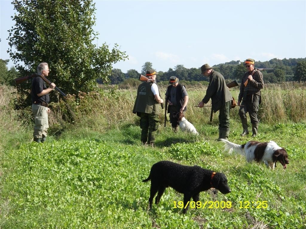 photo25.jpg