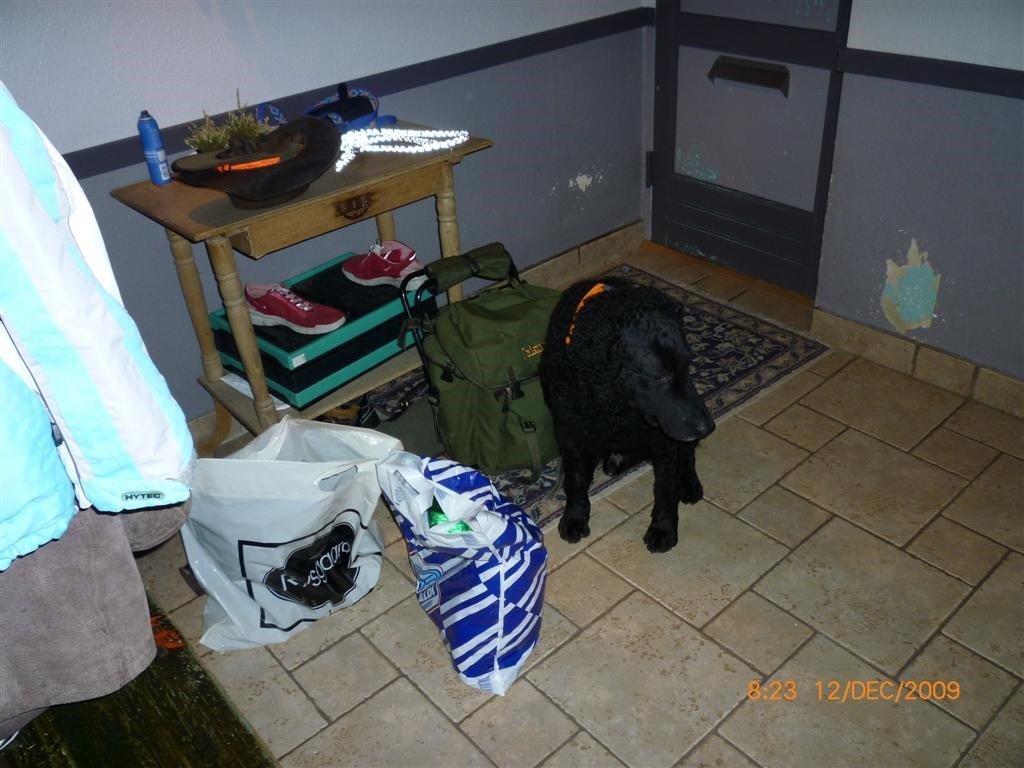 photo27.jpg