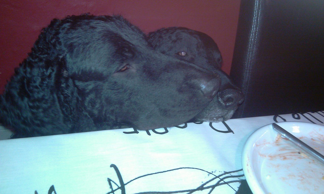 photo30.jpg