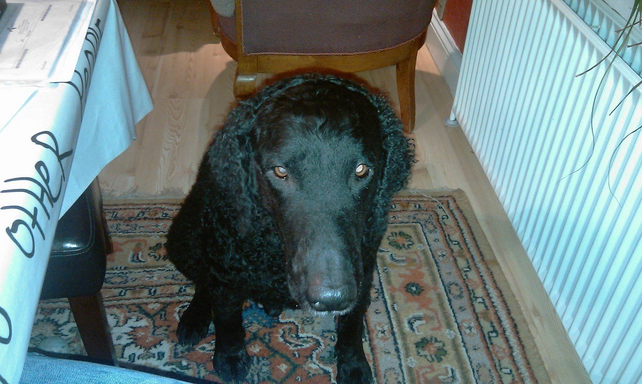 photo35.jpg