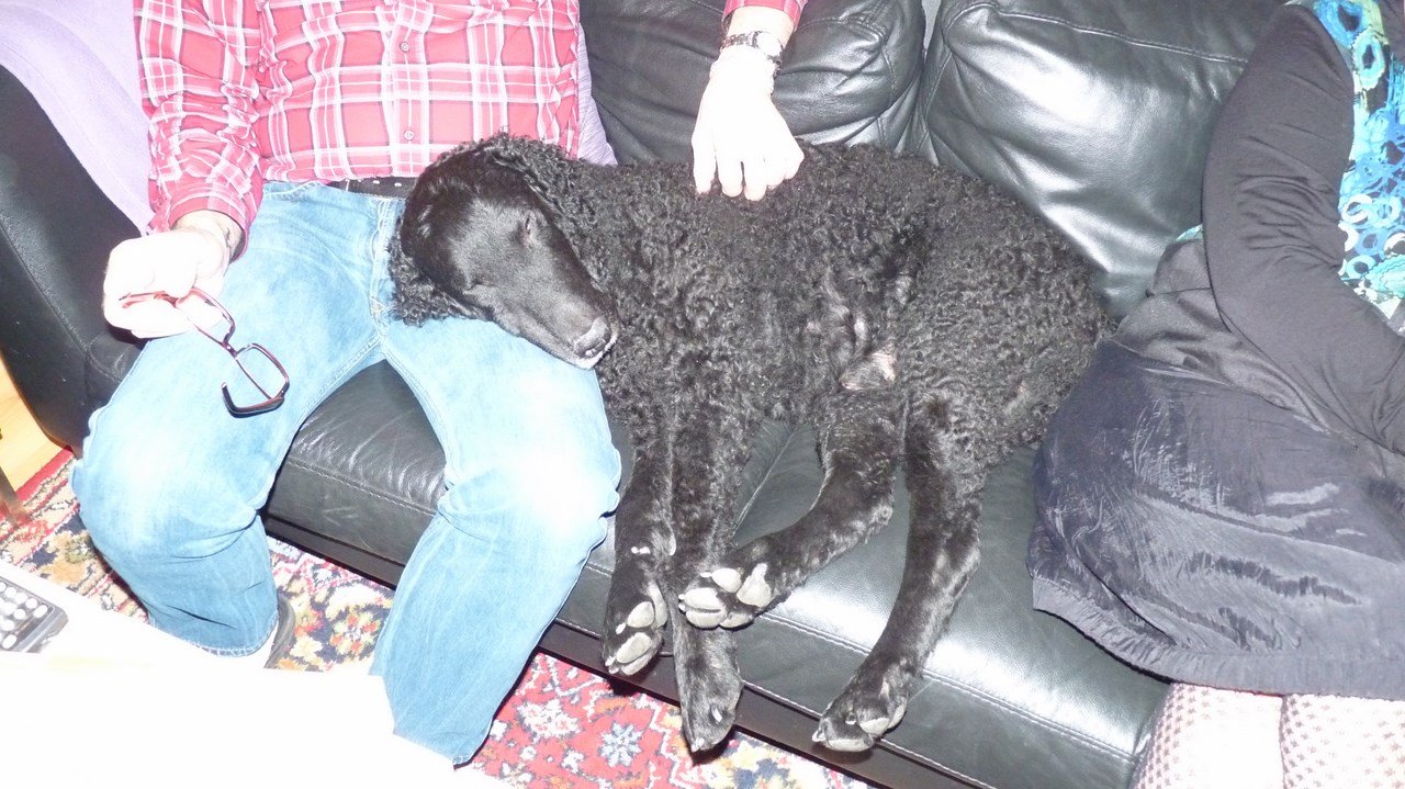 photo44.jpg