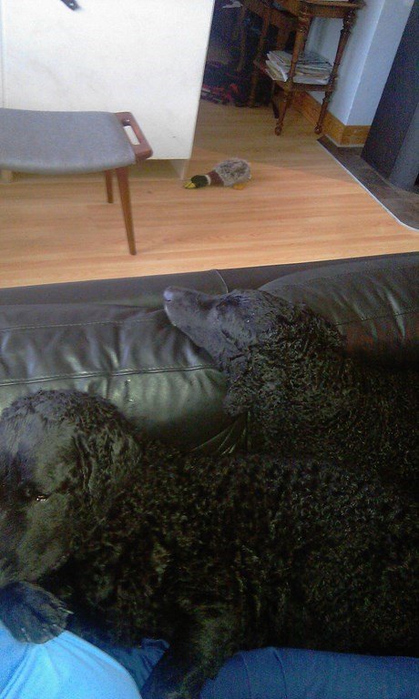 photo57.jpg