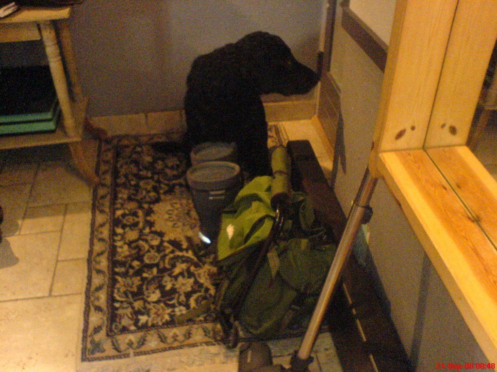 photo8.jpg