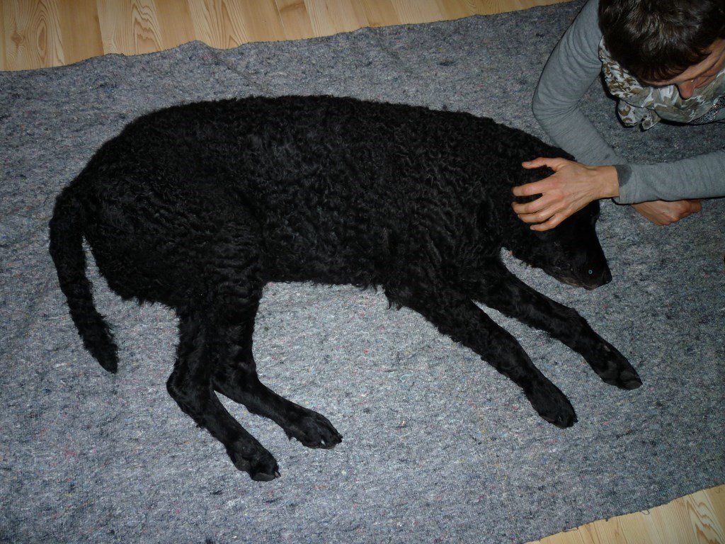 photo90.jpg