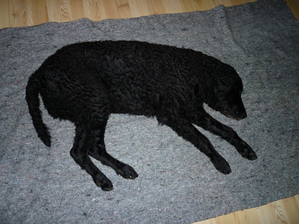 photo91.jpg