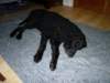 photo93_small.jpg