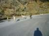 photo216_small.jpg
