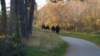 p1030833_small.jpg