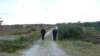 p1030854_small.jpg