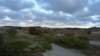 p1030856_small.jpg