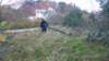 p1030858_small.jpg