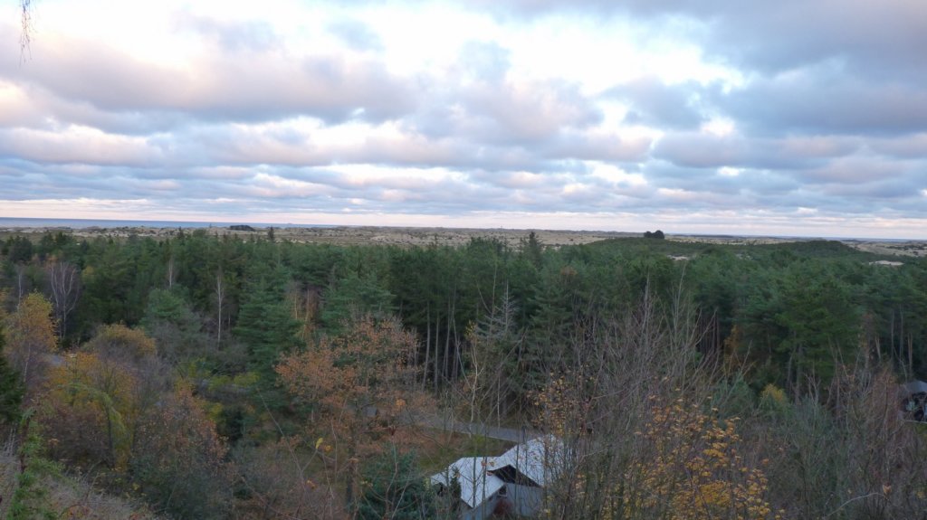 p1030862.jpg