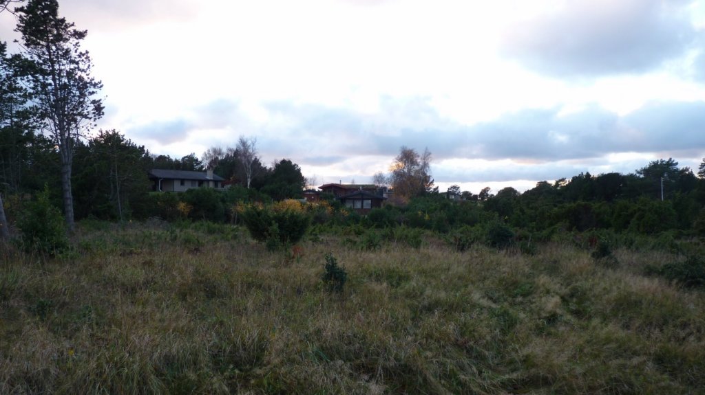 p1030867.jpg